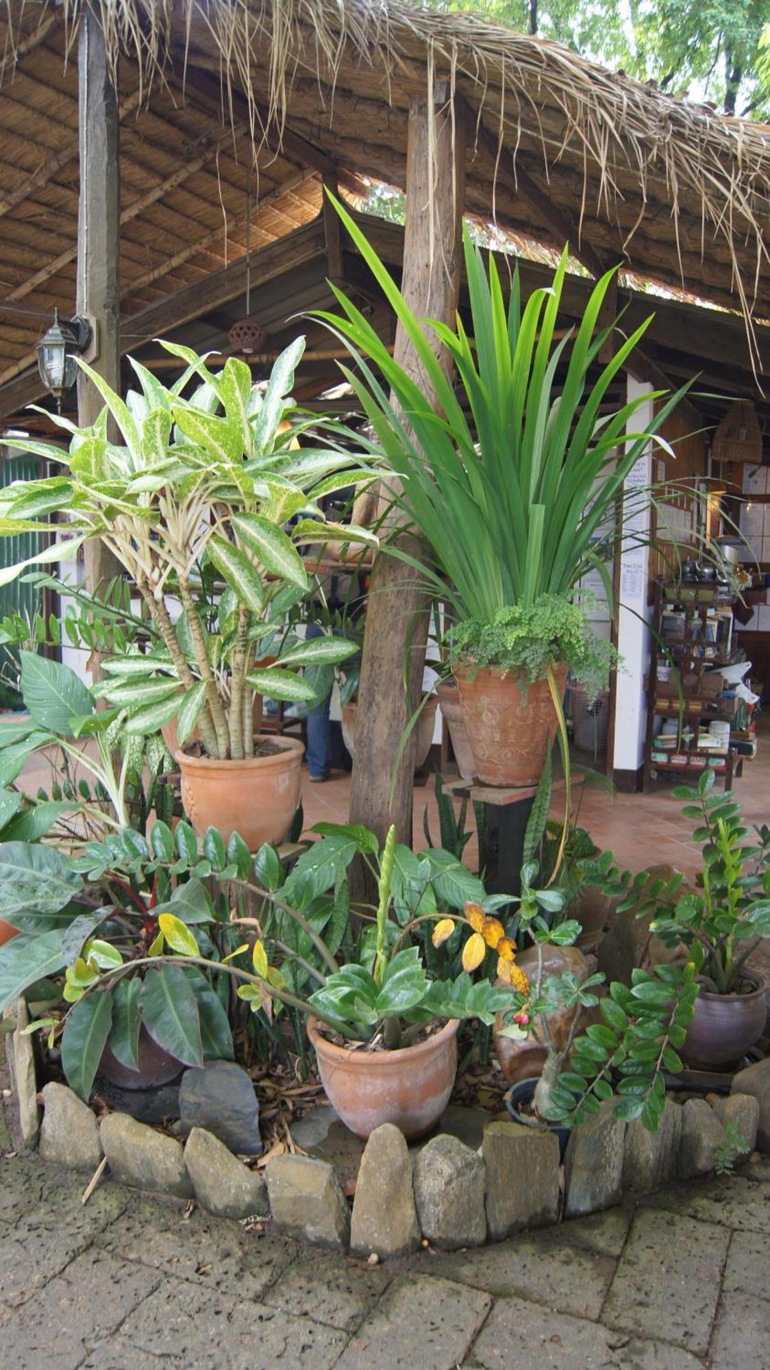 Mut Mee Garden Guest House Nong Khai Exterior foto