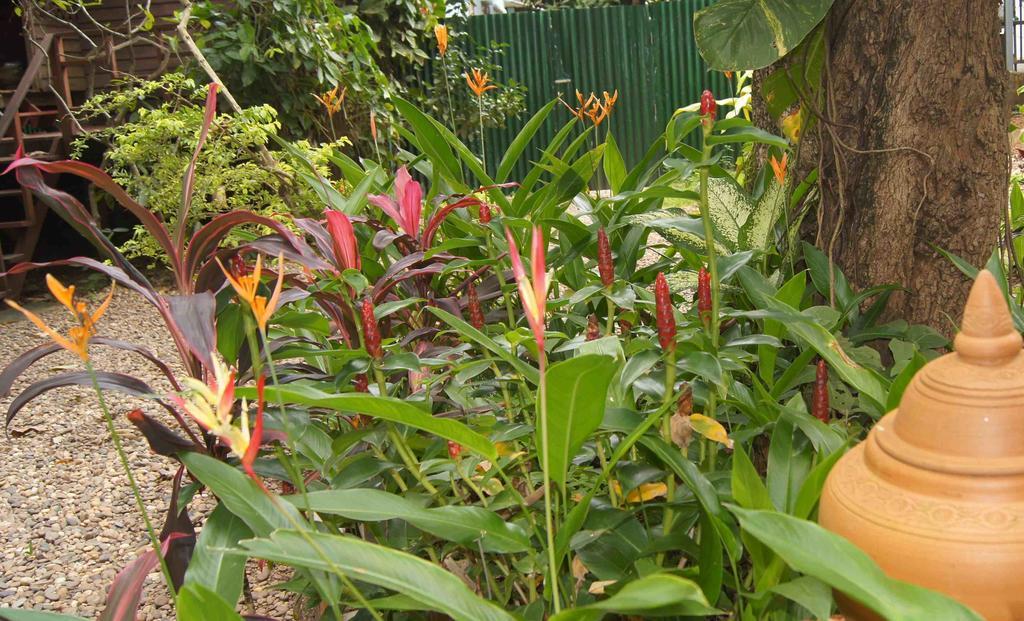 Mut Mee Garden Guest House Nong Khai Exterior foto